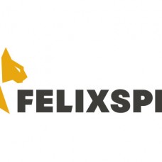 FelixSpin