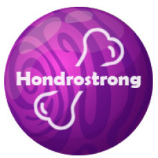 Hondrostrong - un remedio para las articulaciones