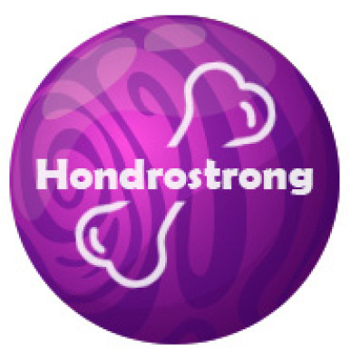 Hondrostrong - un remedio para las articulaciones